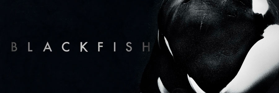 blackfish