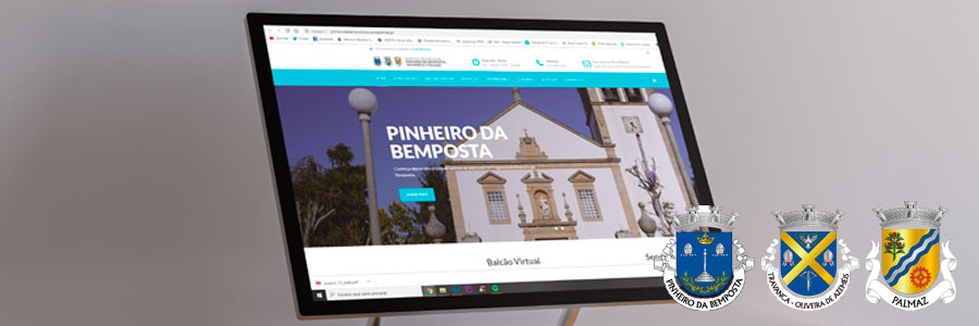 Pinheiro da Bemposta, Travanca e Palmaz